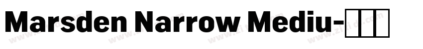 Marsden Narrow Mediu字体转换 Marsden Narrow Mediu字体转换